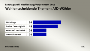 Entscheidende Themen für die AFD - Wähler